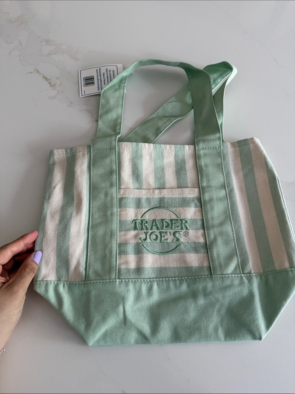 Trader Joe’s Mint Green Stripe Canvas Tote